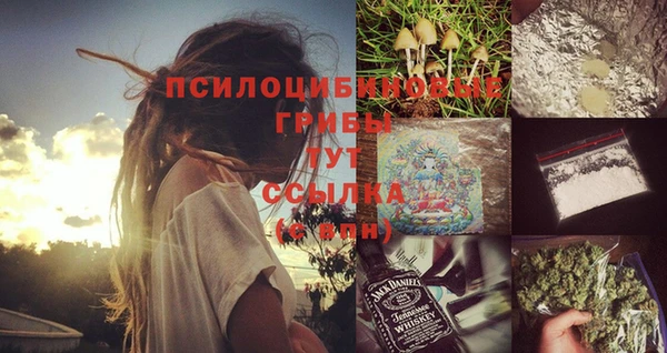 стафф Магас
